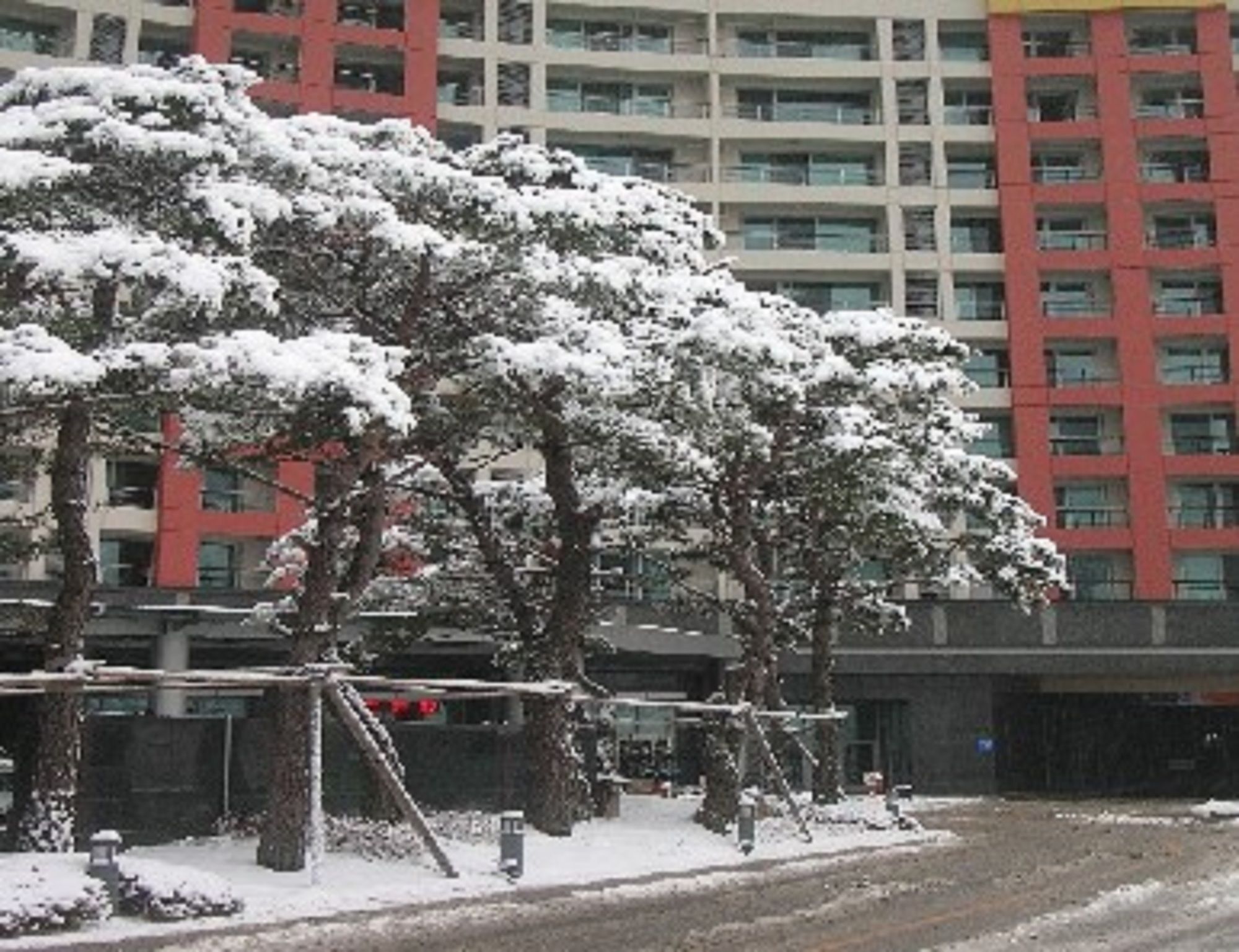 Jeongseon Mayhills Resort Extérieur photo